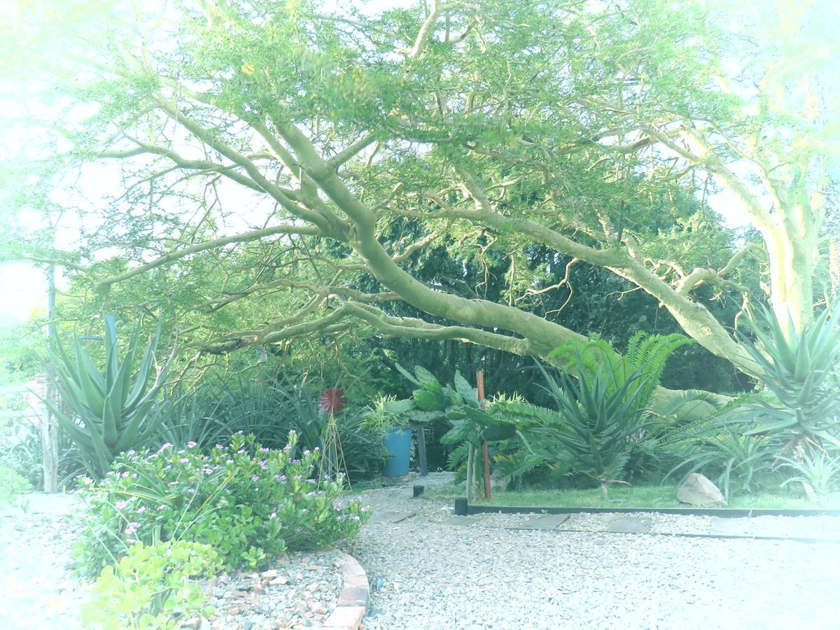 Wiltshire Rondavel Villa Port Alfred Bagian luar foto